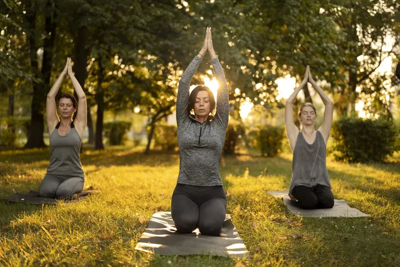 An outdoor group yoga session on a sunlit lawn