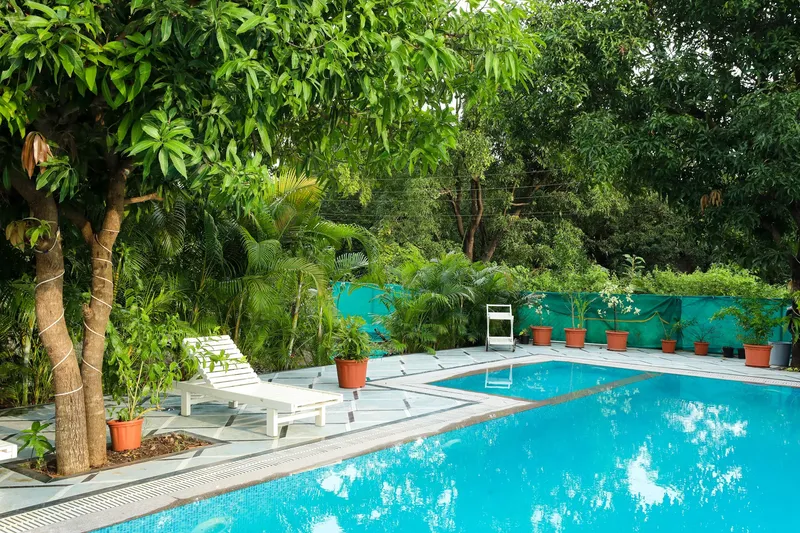 Privy Stays - Luxe Forest Villa 11